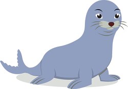 aquatic mammal seal clipart