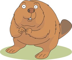 beaver with big eyes front view clipart