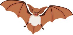 brown bat clipart clipart