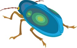 dogbane beetle insect clipart