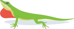 green anole small reptile clip art illustration