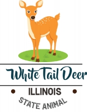 illinois state animal white tail deer clipart animal