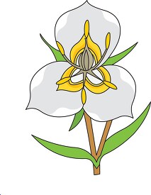 oregon state flower