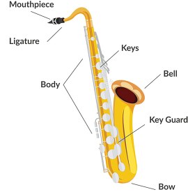 parts of the saxophone labeled clipart