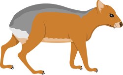 patagonian cavy animal clipart