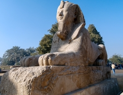 Alabaster Sphinx Memphis Egypt 
