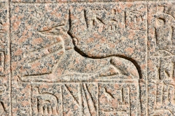 bas relief in memphis egypt image