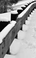 Black and White Snow Covered Fence