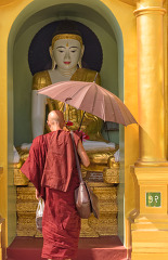 Buddhist monk in traditional robes holding an umbrella at Shweda