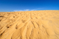 Colored Sands Of The Egyptian Desert Photo