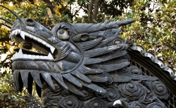 Dragon Yu Yuan Garden Photo Image