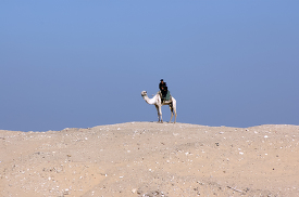 egyptain guard sitting on camel photo image