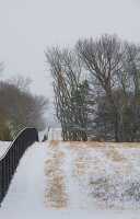 fence across snow covered ground photo