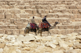 men riding camels along great pyramid egypt