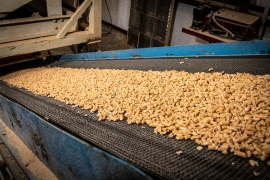 Mill workers produce wood pellets for heating