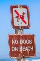 no dogs on beach sign morro bay