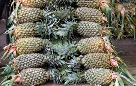 Photo Stack of Pineapples for sale Mumbai India