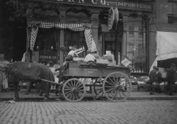 selling vegetables 1909