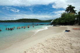 snorklers-at-beach-st-thomas-caribbean-island-photo-image100513