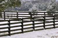 Snow Scene with Fence and Trees