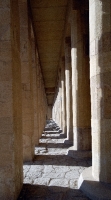 Stone Columns Hatshepsut Temple Photo Image 