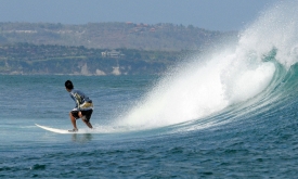 Surfing Indonesia