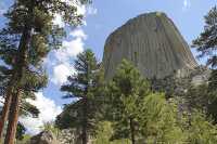 trees surrounding devils tower from boulder field
