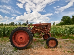 Vintage tractor beside a cornfield