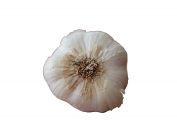 whole garlic cloves photo