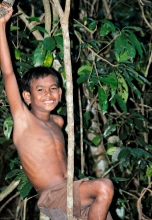 Young Boy swinging in Trees