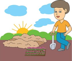 planting trays of seedlings in a garden clipart