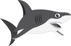 predatory shark sharp teeth gray clipart