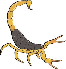 scorpion stinger