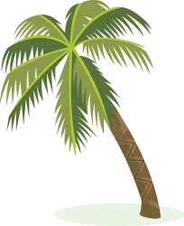 single palm tree clipart 2021A