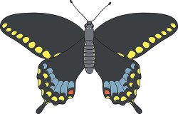 spicebush swallowtail butterfly clipart
