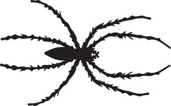 spider black silhouette clipart