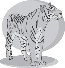 tiger grayscale clipart 3