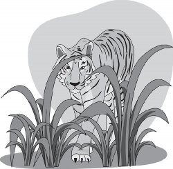 tiger grayscale clipart 5