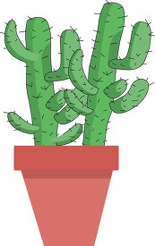two desert cactus in planter