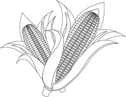 two ears of corn black white outline clipart