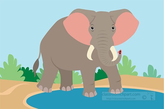 african elephant at water hole clipart
