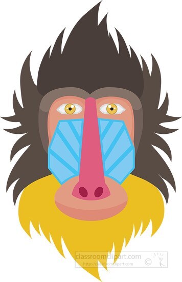 baboon mandrill face clipart