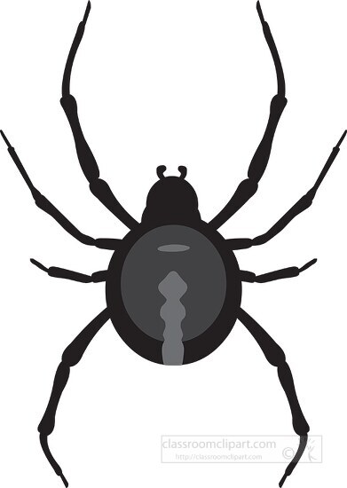 black widow spider insect gray clipart 818