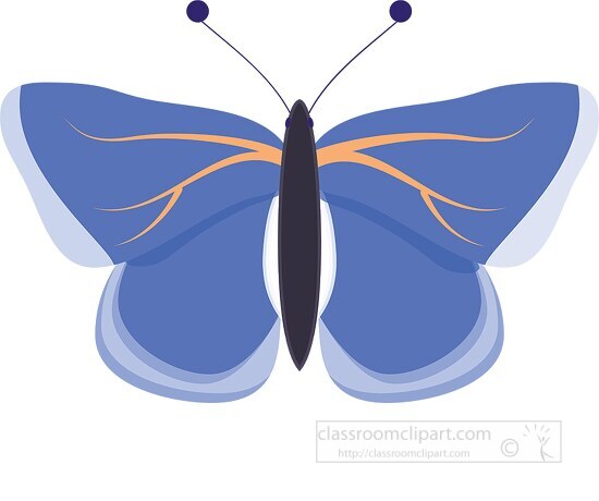 blue and orange butterfly clipart