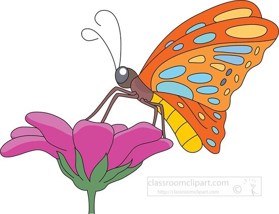 butterfly getting nectar flower clipart
