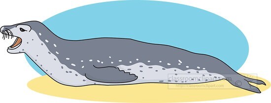 leopard seal clipart