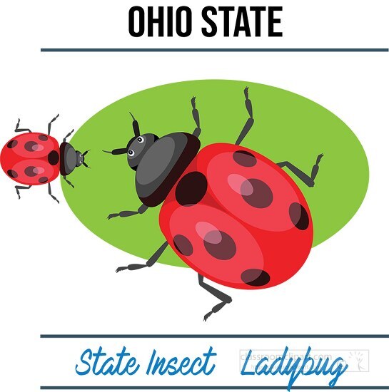 ohio state insect ladybug vector clipart image