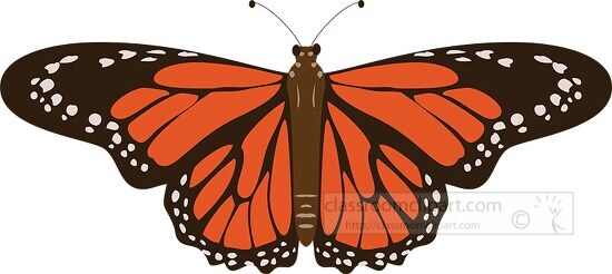 orange and black butterfly clipart