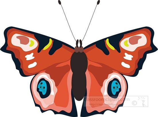 orange yellow blue butterfly clipart