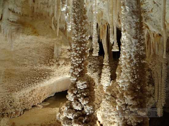 cave columns in the Caverns of Sonora